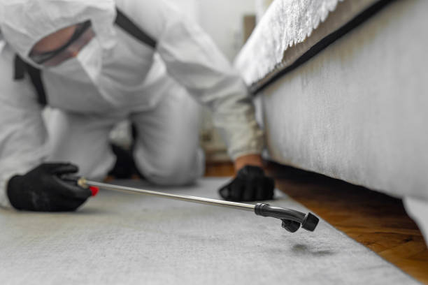 Professional Bed Bug Control technician working in Dothan, AL