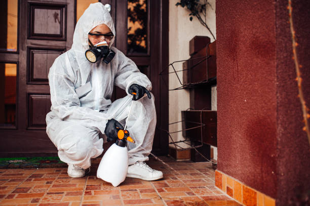 Reliable Bed Bug Control contractor in Dothan, AL by Nex Pest Control